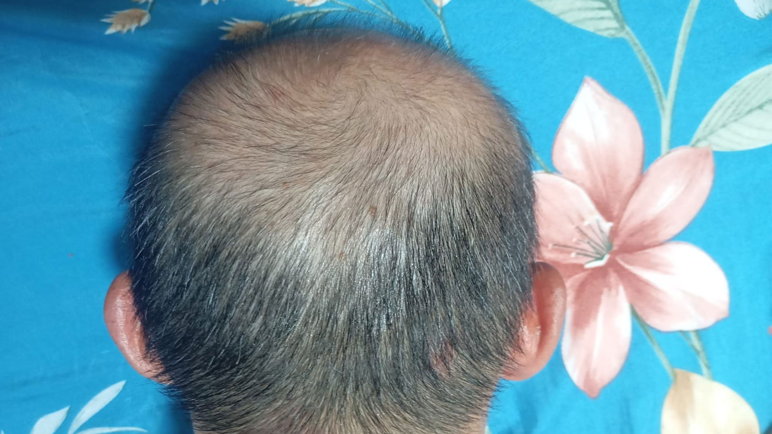 Back-Sep2026